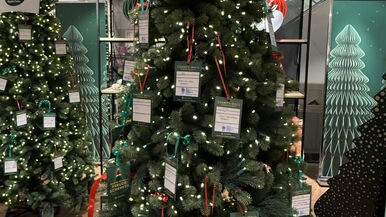 Weihnachtsbaum Aktion 